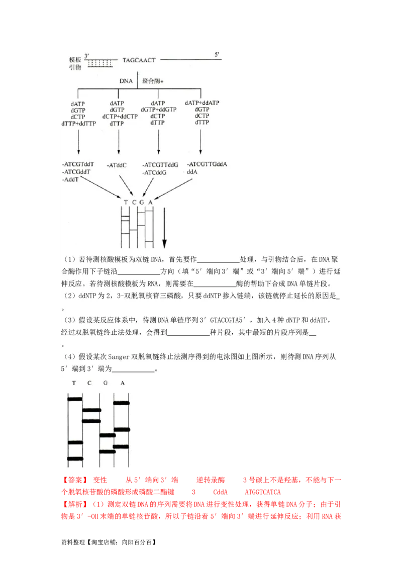 专题18DNA分子的结构、复制及基因的本质（精练）（解析版）_新高考复习资料_2024年新高考复习资料_一轮复习资料_完备战2024年高考生物一轮复习串讲精练（新高考专用）_精练_解析版