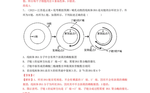 专题18DNA分子的结构、复制及基因的本质（精练）（解析版）_新高考复习资料_2024年新高考复习资料_一轮复习资料_完备战2024年高考生物一轮复习串讲精练（新高考专用）_精练_解析版