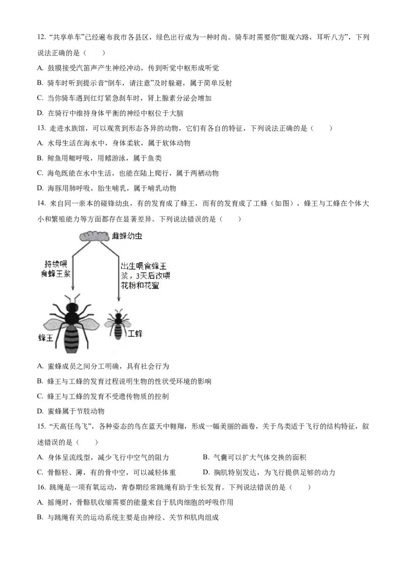 2024年山东省聊城市中考生物真题（原卷版）(1)_山东历年中考真题_山东省历年中考真题2013~2024_初中生物历年真题（2013-2024）