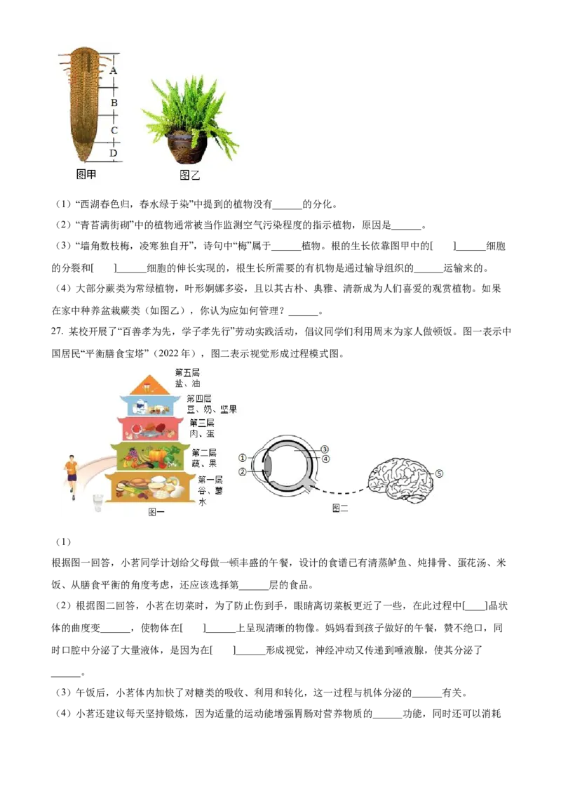 2024年山东省聊城市中考生物真题（原卷版）(1)_山东历年中考真题_山东省历年中考真题2013~2024_初中生物历年真题（2013-2024）