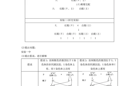 专题16基因在染色体上、伴性遗传和人类遗传病（串讲）（解析版）_新高考复习资料_2024年新高考复习资料_一轮复习资料_完备战2024年高考生物一轮复习串讲精练（新高考专用）_串讲