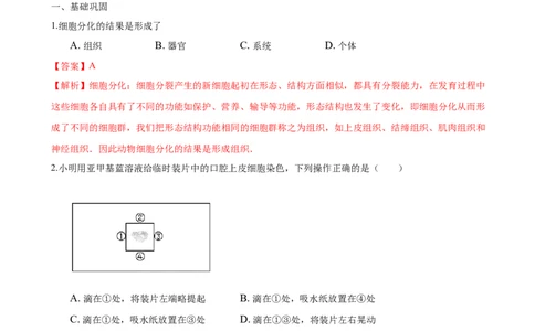 专题2.1.3动物细胞（解析版）_初中全科电子版试卷练习试题_生物_生物人教版7上练习&mdash;24新版已更新_人教生物7年级上课时练习39份_七年级生物上册课时练习（人教版）18份