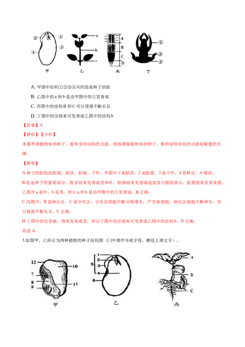 专题3.2.1种子的萌发（解析版）_初中全科电子版试卷练习试题_生物_生物人教版7上练习&mdash;24新版已更新_人教生物7年级上课时练习39份_七年级生物上册课时练习（人教版）18份