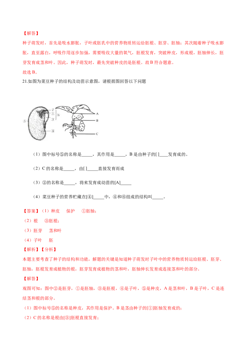 专题3.2.1种子的萌发（解析版）_初中全科电子版试卷练习试题_生物_生物人教版7上练习&mdash;24新版已更新_人教生物7年级上课时练习39份_七年级生物上册课时练习（人教版）18份