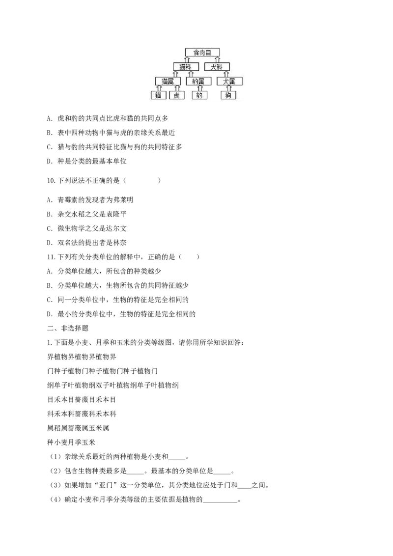 6.1.2从种到界（备作业）-（人教版）（原卷版）_初中全科电子版试卷练习试题_生物_生物8上练习_人教生物8年级上课时练习37份_第2套八年级生物上册课时练习（人教版）21份