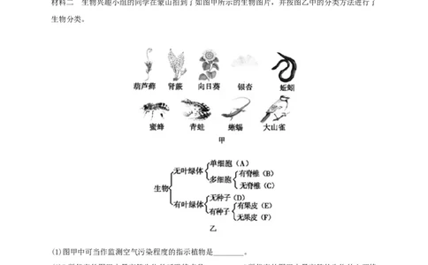 6.1.2从种到界（备作业）-（人教版）（原卷版）_初中全科电子版试卷练习试题_生物_生物8上练习_人教生物8年级上课时练习37份_第2套八年级生物上册课时练习（人教版）21份
