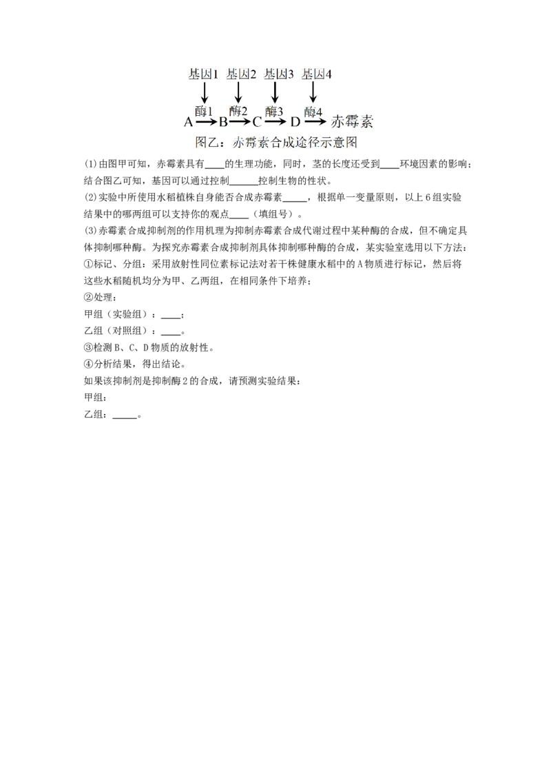 专题18植物生命活动调节（原卷版）_通用版（老高考）复习资料_2024年复习资料_完备战2024年高考生物一轮复习抢分特训（全国通用）