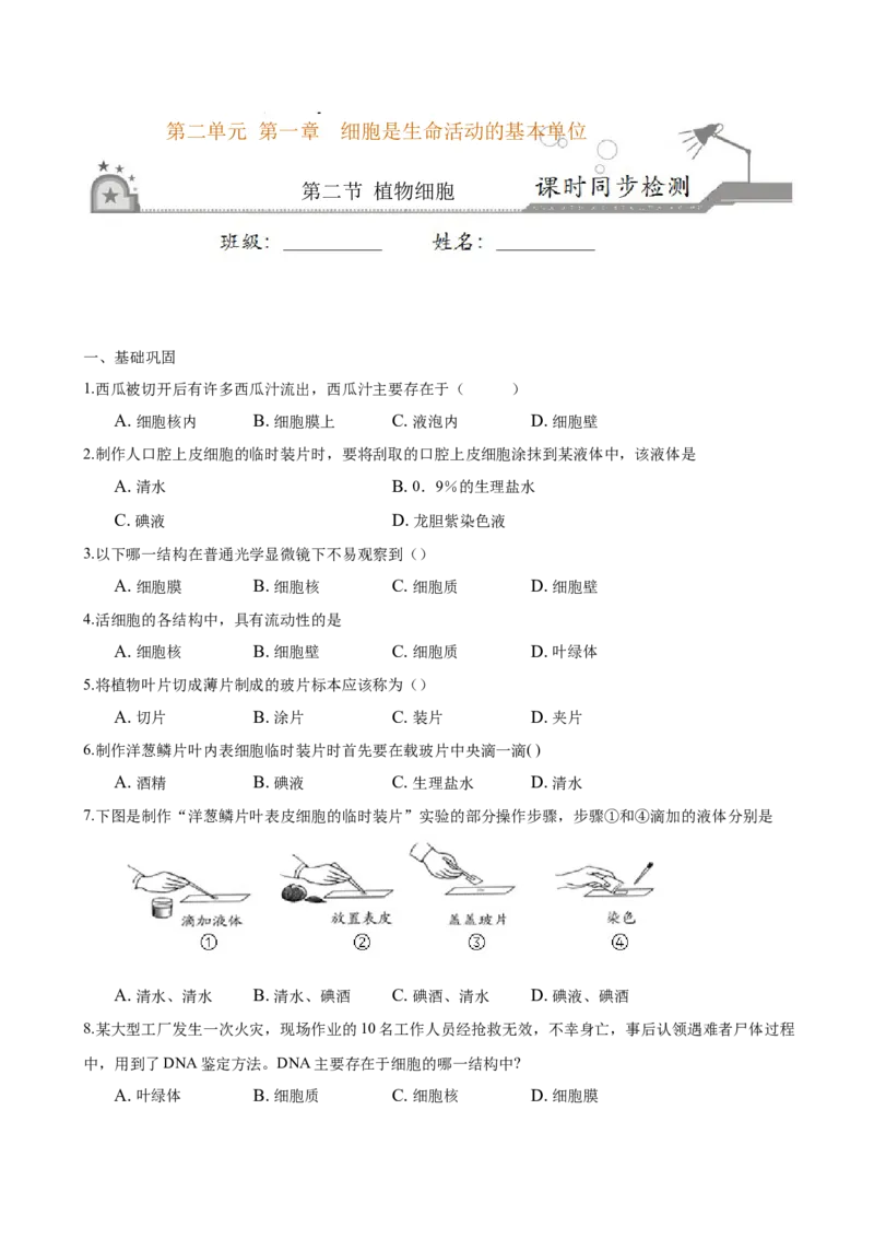 专题2.1.2植物细胞（原卷版）_初中全科电子版试卷练习试题_生物_生物人教版7上练习&mdash;24新版已更新_人教生物7年级上课时练习39份_七年级生物上册课时练习（人教版）18份