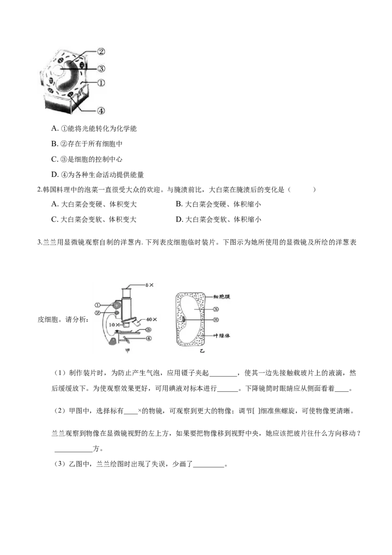 专题2.1.2植物细胞（原卷版）_初中全科电子版试卷练习试题_生物_生物人教版7上练习&mdash;24新版已更新_人教生物7年级上课时练习39份_七年级生物上册课时练习（人教版）18份