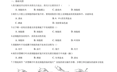 专题2.1.2植物细胞（原卷版）_初中全科电子版试卷练习试题_生物_生物人教版7上练习&mdash;24新版已更新_人教生物7年级上课时练习39份_七年级生物上册课时练习（人教版）18份