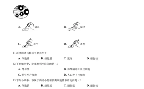 专题2.1.2植物细胞（原卷版）_初中全科电子版试卷练习试题_生物_生物人教版7上练习&mdash;24新版已更新_人教生物7年级上课时练习39份_七年级生物上册课时练习（人教版）18份