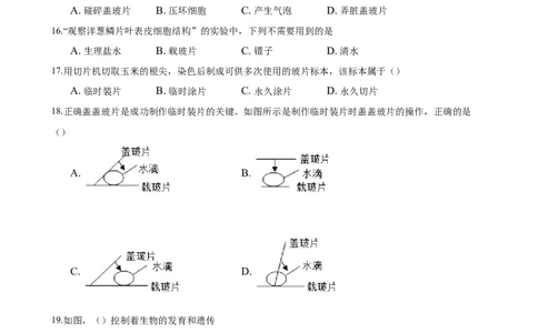 专题2.1.2植物细胞（原卷版）_初中全科电子版试卷练习试题_生物_生物人教版7上练习&mdash;24新版已更新_人教生物7年级上课时练习39份_七年级生物上册课时练习（人教版）18份
