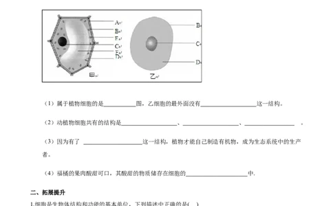 专题2.1.2植物细胞（原卷版）_初中全科电子版试卷练习试题_生物_生物人教版7上练习&mdash;24新版已更新_人教生物7年级上课时练习39份_七年级生物上册课时练习（人教版）18份
