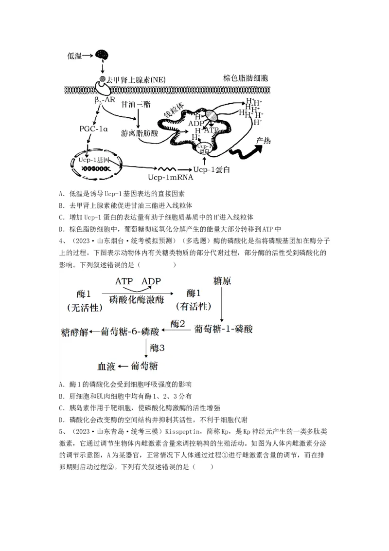 专题25体液调节（精练）（原卷版）_新高考复习资料_2024年新高考复习资料_一轮复习资料_完备战2024年高考生物一轮复习串讲精练（新高考专用）_精练