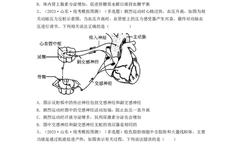 专题25体液调节（精练）（原卷版）_新高考复习资料_2024年新高考复习资料_一轮复习资料_完备战2024年高考生物一轮复习串讲精练（新高考专用）_精练