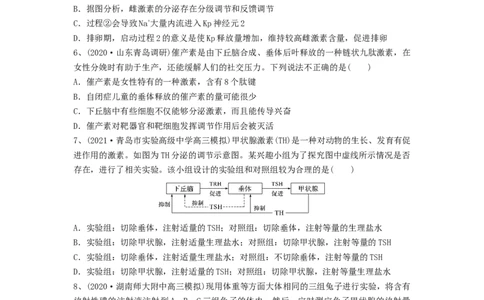 专题25体液调节（精练）（原卷版）_新高考复习资料_2024年新高考复习资料_一轮复习资料_完备战2024年高考生物一轮复习串讲精练（新高考专用）_精练