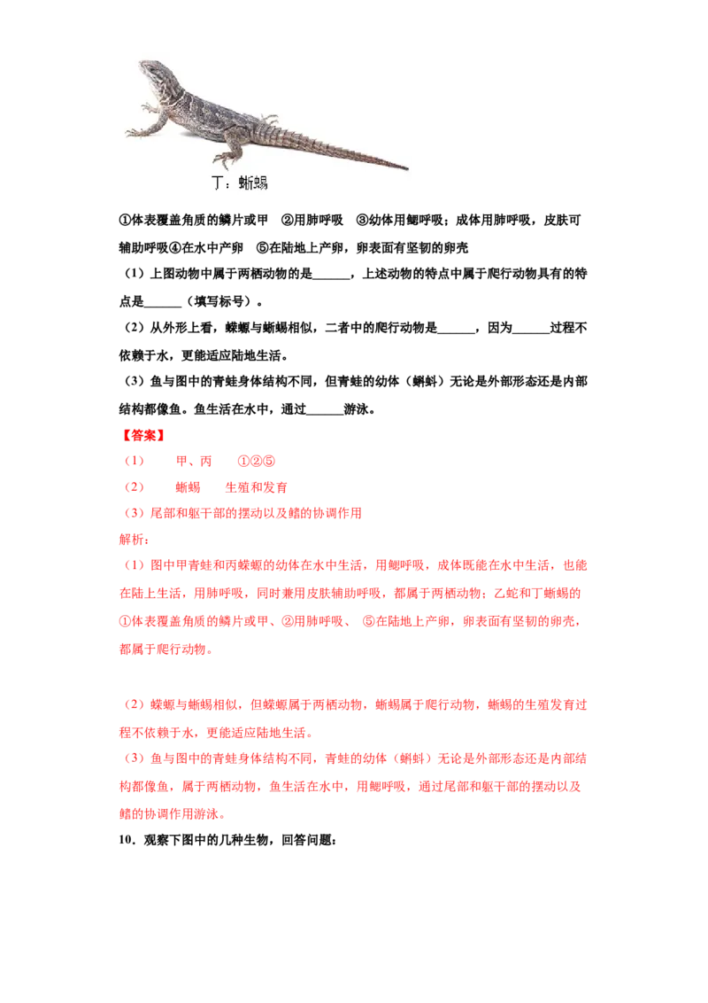5.1.5两栖动物和爬行动物（练习）（解析版）_初中全科电子版试卷练习试题_生物_生物8上练习_人教生物8年级上课时练习37份_第1套八年级生物上册课时练习（人教版）16份
