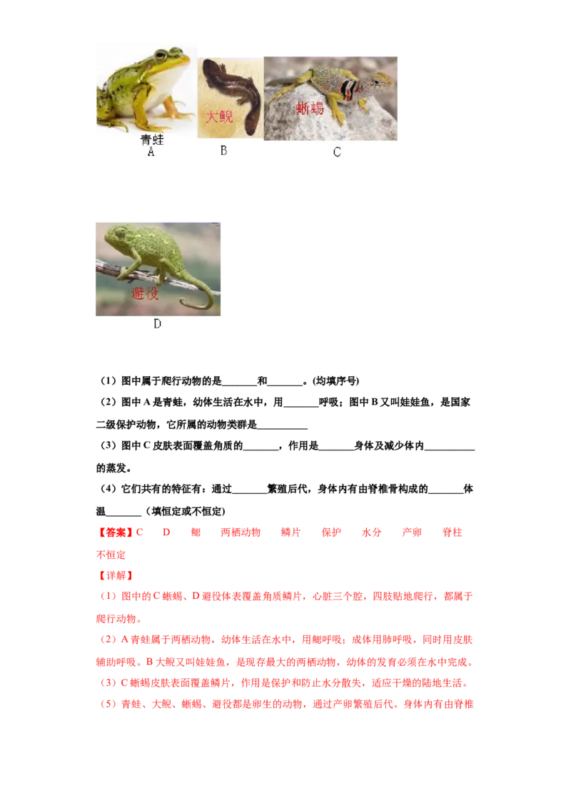 5.1.5两栖动物和爬行动物（练习）（解析版）_初中全科电子版试卷练习试题_生物_生物8上练习_人教生物8年级上课时练习37份_第1套八年级生物上册课时练习（人教版）16份