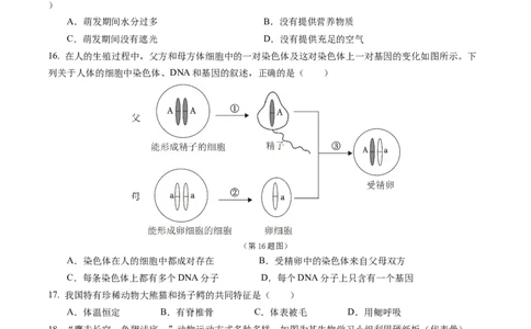 2024年中考押题预测卷（青岛卷）-生物（考试版）A4_初中全科电子版试卷练习试题_生物_2024中考模拟题生物(1)_押题预测