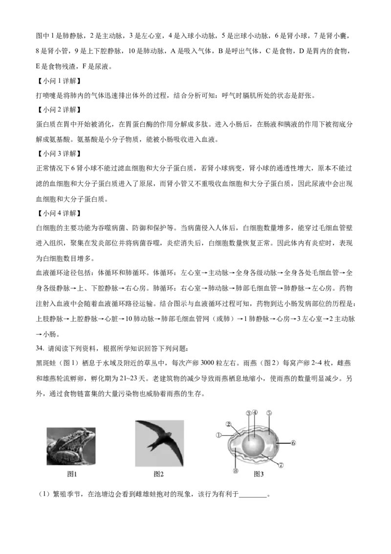 08八年级下学期期中生物试题（解析版）_初中全科电子版试卷练习试题_生物_生物8下练习_人教生物8年级下期中试卷10份