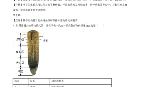 08八年级下学期期中生物试题（解析版）_初中全科电子版试卷练习试题_生物_生物8下练习_人教生物8年级下期中试卷10份