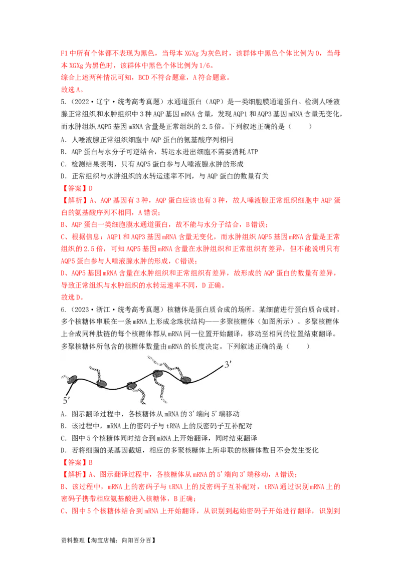 专题19基因的表达（串讲）（解析版）_新高考复习资料_2024年新高考复习资料_一轮复习资料_完备战2024年高考生物一轮复习串讲精练（新高考专用）_串讲_解析版