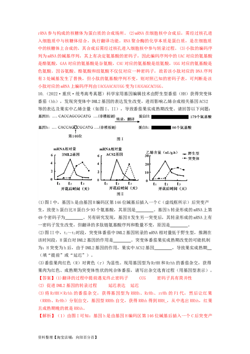 专题19基因的表达（串讲）（解析版）_新高考复习资料_2024年新高考复习资料_一轮复习资料_完备战2024年高考生物一轮复习串讲精练（新高考专用）_串讲_解析版