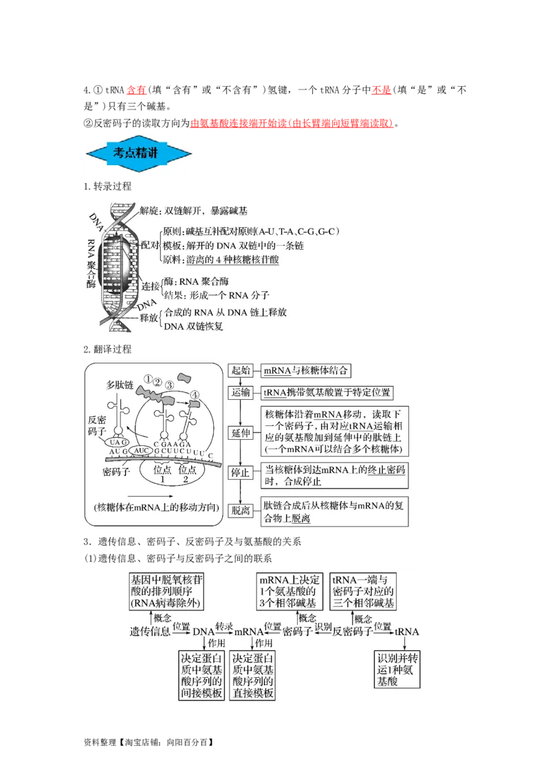 专题19基因的表达（串讲）（解析版）_新高考复习资料_2024年新高考复习资料_一轮复习资料_完备战2024年高考生物一轮复习串讲精练（新高考专用）_串讲_解析版