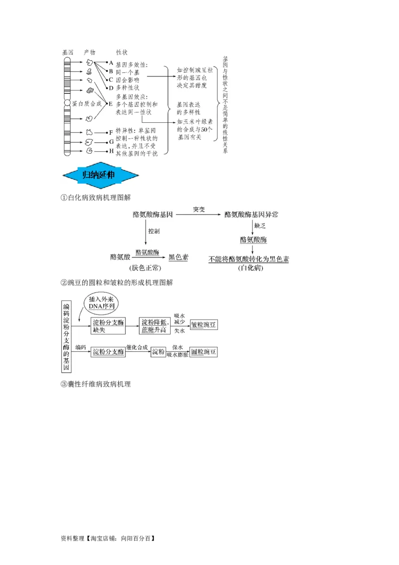 专题19基因的表达（串讲）（解析版）_新高考复习资料_2024年新高考复习资料_一轮复习资料_完备战2024年高考生物一轮复习串讲精练（新高考专用）_串讲_解析版