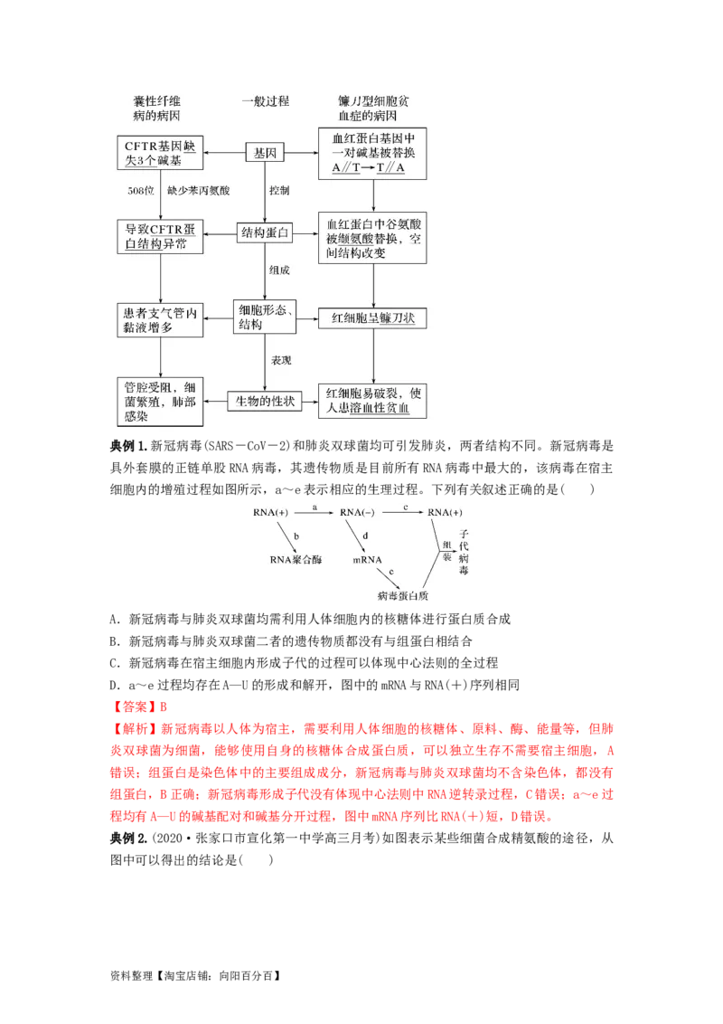 专题19基因的表达（串讲）（解析版）_新高考复习资料_2024年新高考复习资料_一轮复习资料_完备战2024年高考生物一轮复习串讲精练（新高考专用）_串讲_解析版
