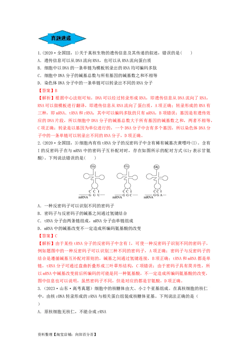 专题19基因的表达（串讲）（解析版）_新高考复习资料_2024年新高考复习资料_一轮复习资料_完备战2024年高考生物一轮复习串讲精练（新高考专用）_串讲_解析版