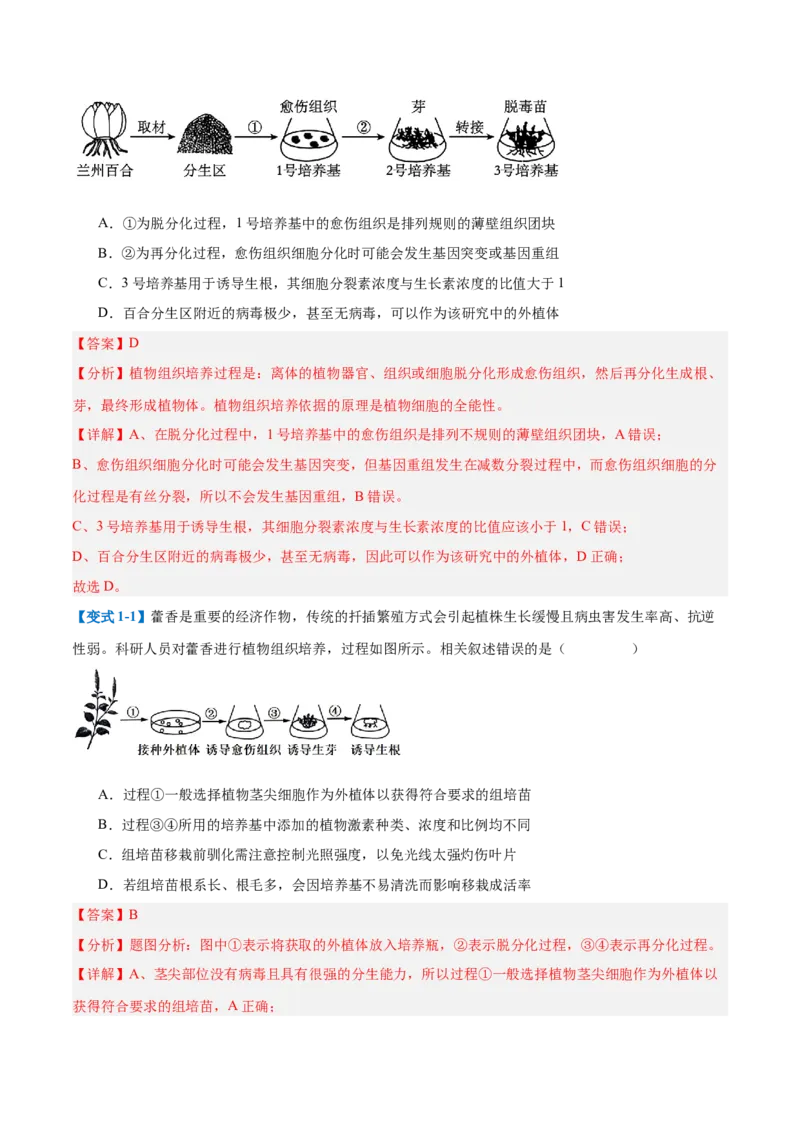 专题18生物技术与工程（12大题型）（解析版）_2025年新高考资料_一轮复习_备战2025年高考生物一轮复习题型全覆盖（新高考通用）