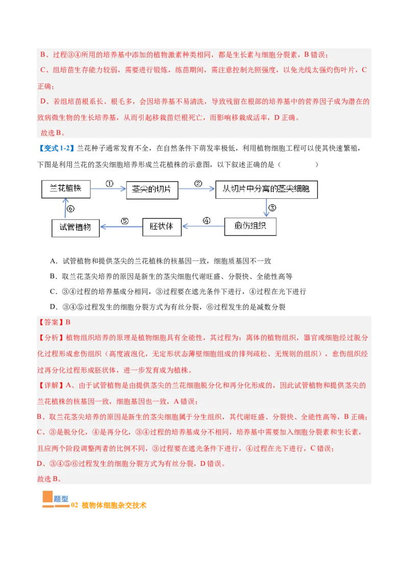 专题18生物技术与工程（12大题型）（解析版）_2025年新高考资料_一轮复习_备战2025年高考生物一轮复习题型全覆盖（新高考通用）