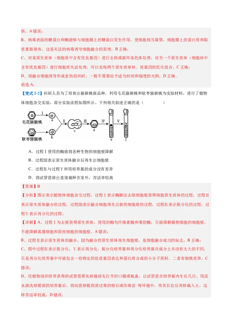 专题18生物技术与工程（12大题型）（解析版）_2025年新高考资料_一轮复习_备战2025年高考生物一轮复习题型全覆盖（新高考通用）