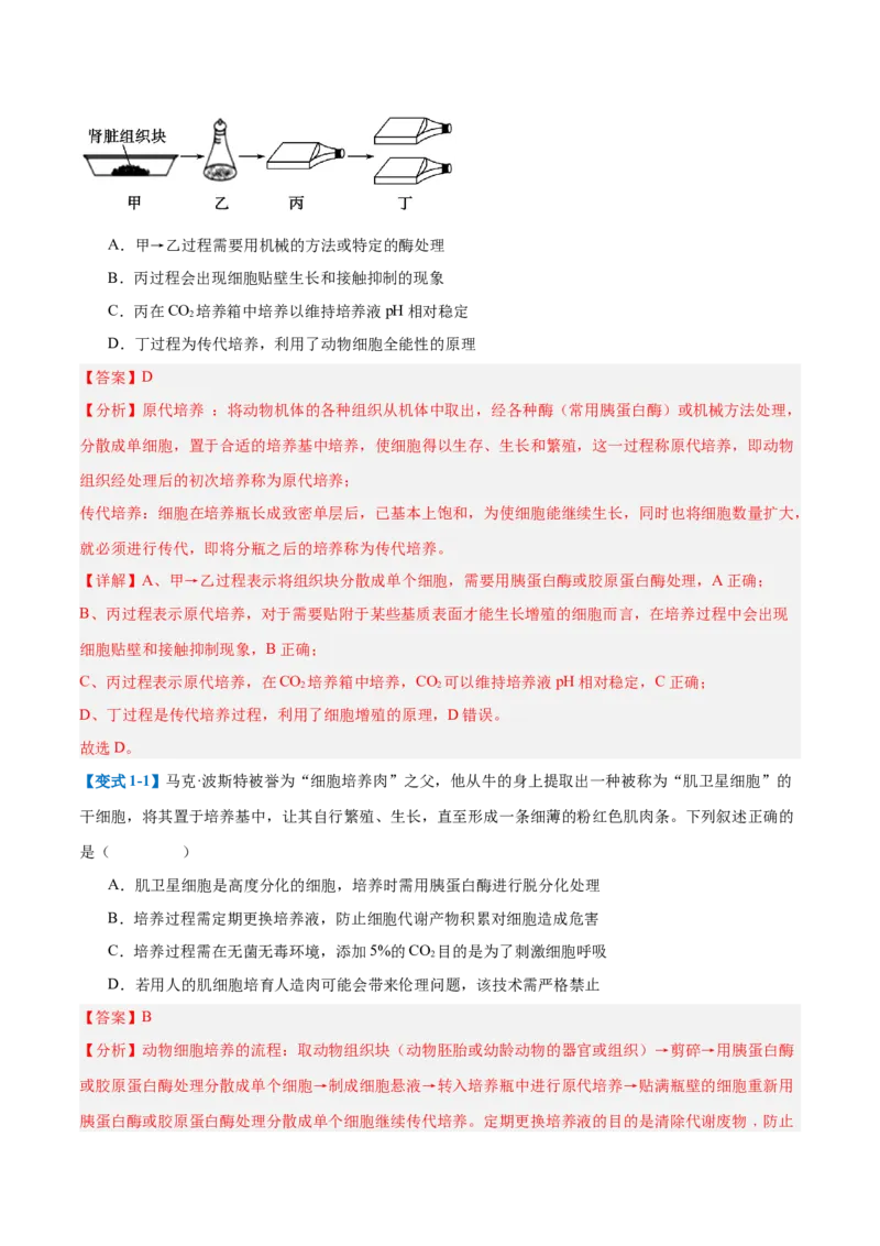 专题18生物技术与工程（12大题型）（解析版）_2025年新高考资料_一轮复习_备战2025年高考生物一轮复习题型全覆盖（新高考通用）