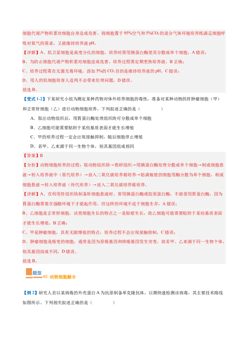 专题18生物技术与工程（12大题型）（解析版）_2025年新高考资料_一轮复习_备战2025年高考生物一轮复习题型全覆盖（新高考通用）