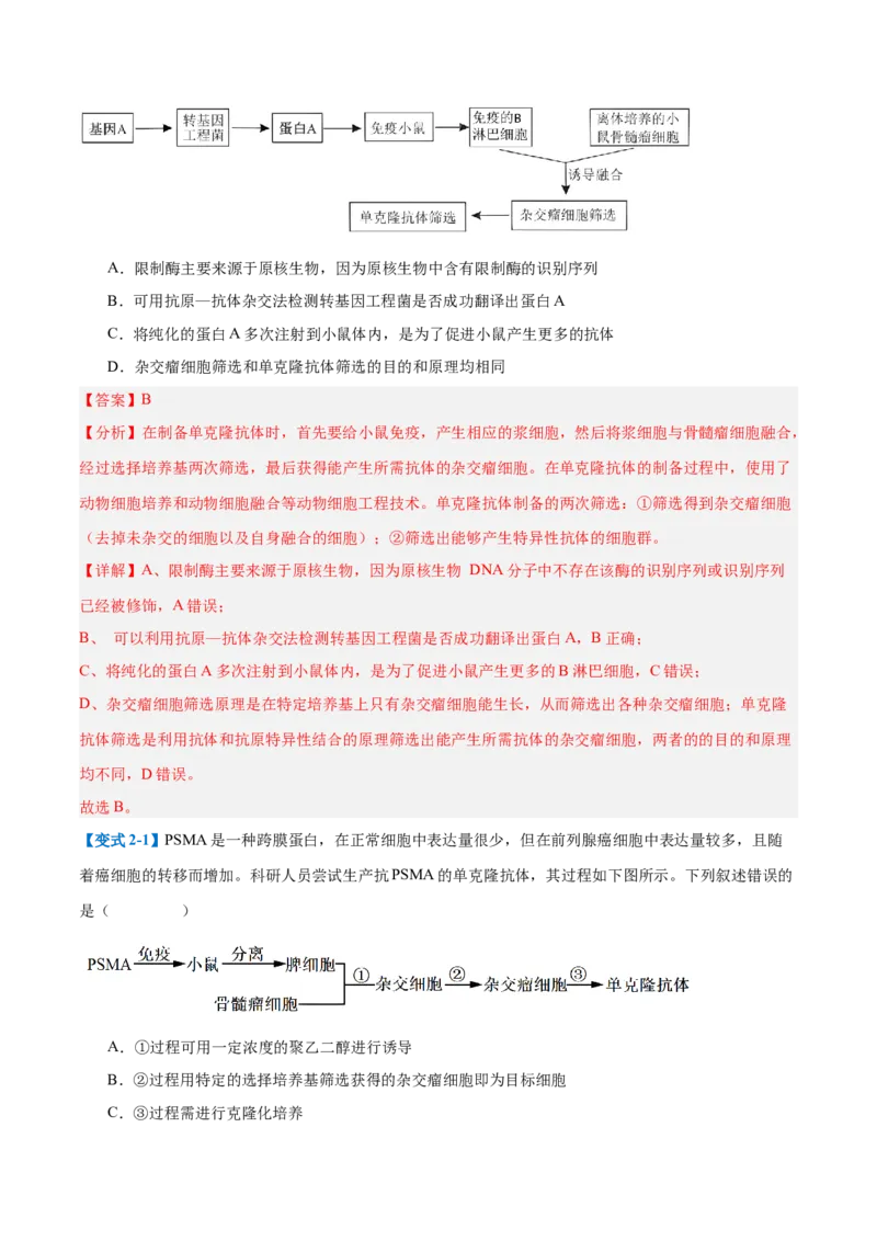 专题18生物技术与工程（12大题型）（解析版）_2025年新高考资料_一轮复习_备战2025年高考生物一轮复习题型全覆盖（新高考通用）