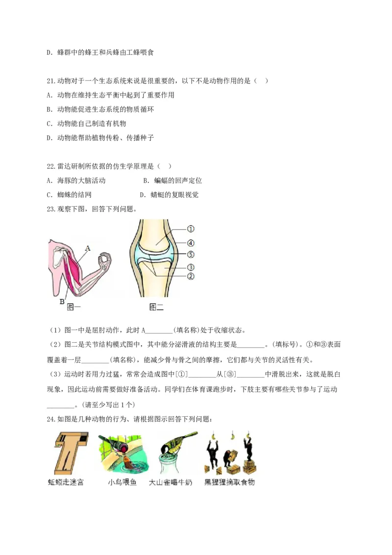 专题03动物的运动和行为-（人教版）（原卷版）_初中全科电子版试卷练习试题_生物_生物8上练习_人教生物8年级上专项练习23份_第1套八年级生物上册专项（人教版）09份
