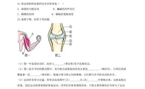 专题03动物的运动和行为-（人教版）（原卷版）_初中全科电子版试卷练习试题_生物_生物8上练习_人教生物8年级上专项练习23份_第1套八年级生物上册专项（人教版）09份