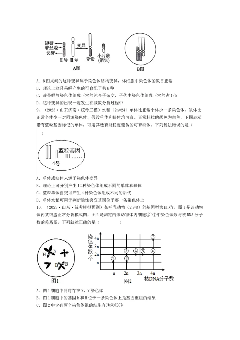 专题21染色体变异与育种（精练）（原卷版）_新高考复习资料_2024年新高考复习资料_一轮复习资料_完备战2024年高考生物一轮复习串讲精练（新高考专用）_精练