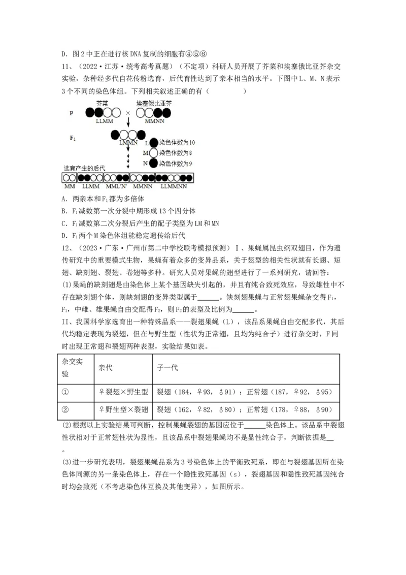 专题21染色体变异与育种（精练）（原卷版）_新高考复习资料_2024年新高考复习资料_一轮复习资料_完备战2024年高考生物一轮复习串讲精练（新高考专用）_精练