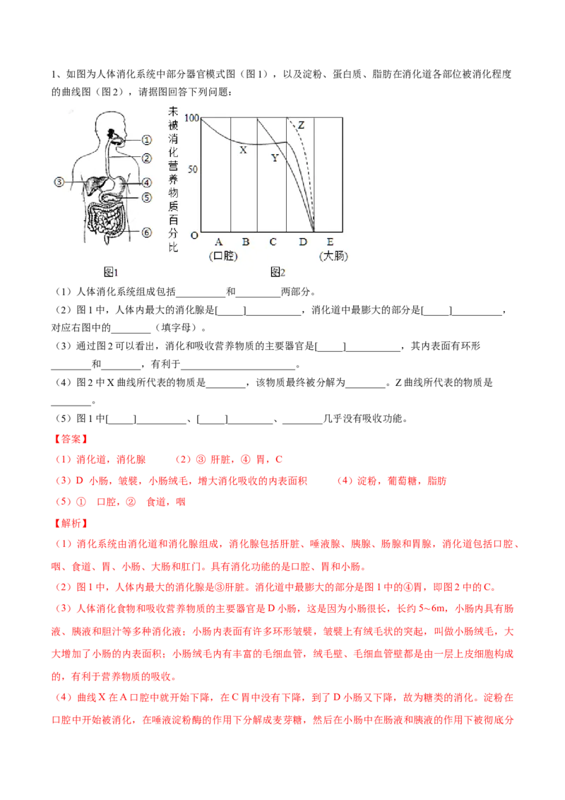 4.2.2消化和吸收（解析版）_初中全科电子版试卷练习试题_生物_生物人教版7下练习_人教生物7年级下课时练习40份_第2套七年级生物下册课时练习（人教版）20份