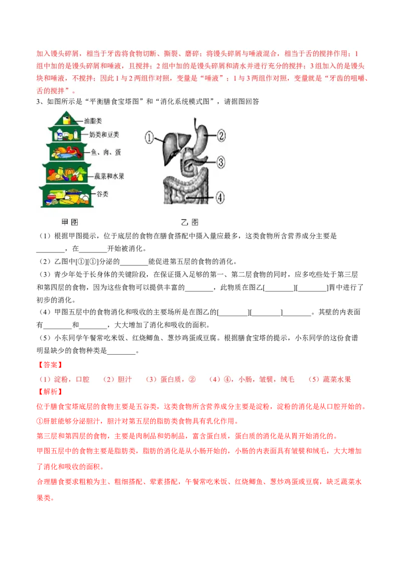 4.2.2消化和吸收（解析版）_初中全科电子版试卷练习试题_生物_生物人教版7下练习_人教生物7年级下课时练习40份_第2套七年级生物下册课时练习（人教版）20份