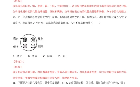 4.2.2消化和吸收（解析版）_初中全科电子版试卷练习试题_生物_生物人教版7下练习_人教生物7年级下课时练习40份_第2套七年级生物下册课时练习（人教版）20份