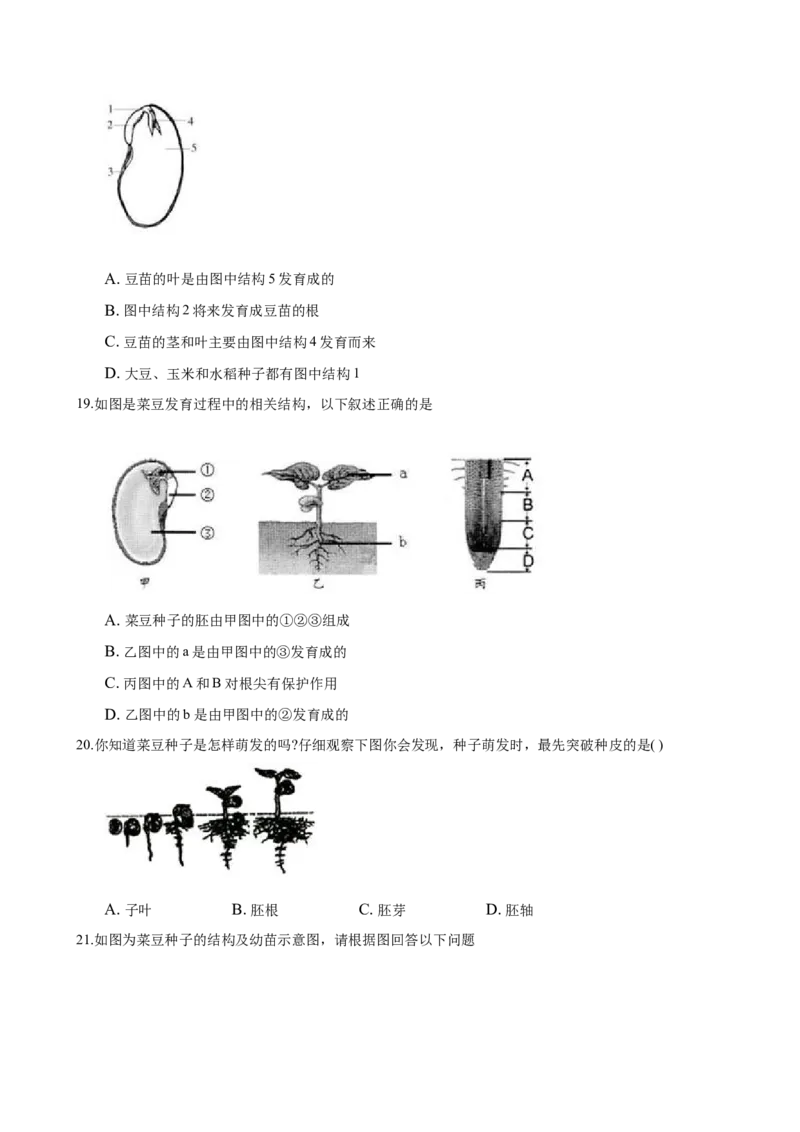 专题3.2.1种子的萌发（原卷版）_初中全科电子版试卷练习试题_生物_生物人教版7上练习&mdash;24新版已更新_人教生物7年级上课时练习39份_七年级生物上册课时练习（人教版）18份
