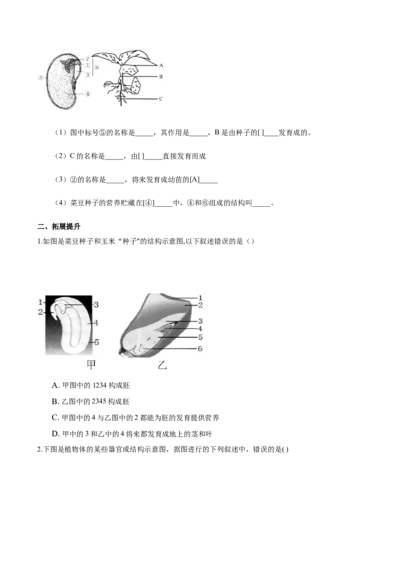 专题3.2.1种子的萌发（原卷版）_初中全科电子版试卷练习试题_生物_生物人教版7上练习&mdash;24新版已更新_人教生物7年级上课时练习39份_七年级生物上册课时练习（人教版）18份