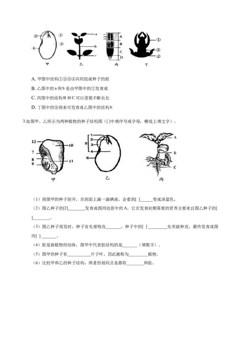 专题3.2.1种子的萌发（原卷版）_初中全科电子版试卷练习试题_生物_生物人教版7上练习&mdash;24新版已更新_人教生物7年级上课时练习39份_七年级生物上册课时练习（人教版）18份