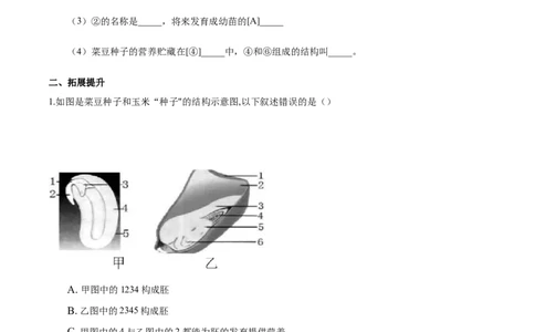 专题3.2.1种子的萌发（原卷版）_初中全科电子版试卷练习试题_生物_生物人教版7上练习&mdash;24新版已更新_人教生物7年级上课时练习39份_七年级生物上册课时练习（人教版）18份