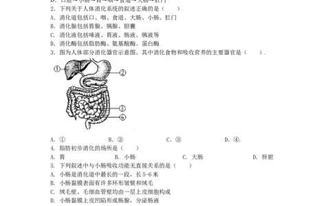 4.2.2消化和吸收-（人教版）（原卷版）_初中全科电子版试卷练习试题_生物_生物人教版7下练习_人教生物7年级下课时练习40份_第1套七年级生物下册课时练习（人教版）20份