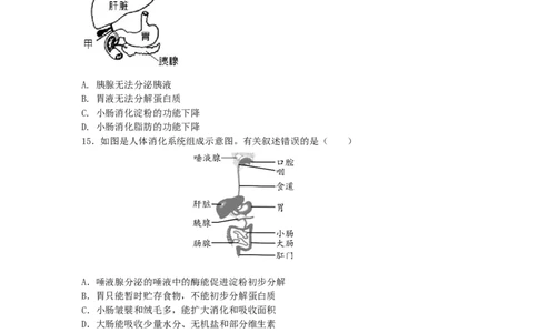 4.2.2消化和吸收-（人教版）（原卷版）_初中全科电子版试卷练习试题_生物_生物人教版7下练习_人教生物7年级下课时练习40份_第1套七年级生物下册课时练习（人教版）20份